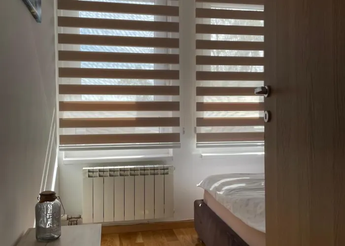 アパート Ambasador